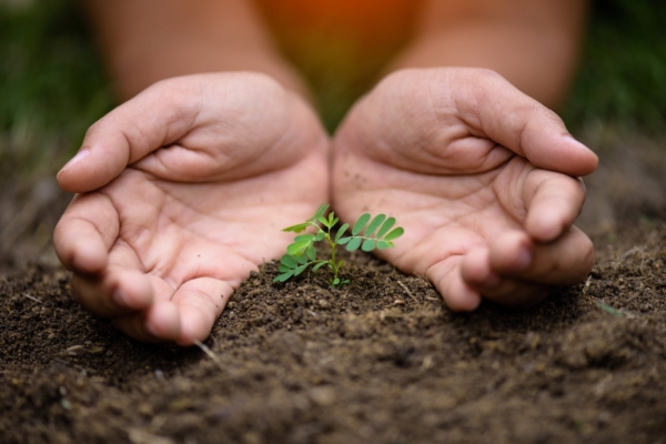 Cambridge kliimateadlase 7 soovitust kliimamuutustega võitlemiseks