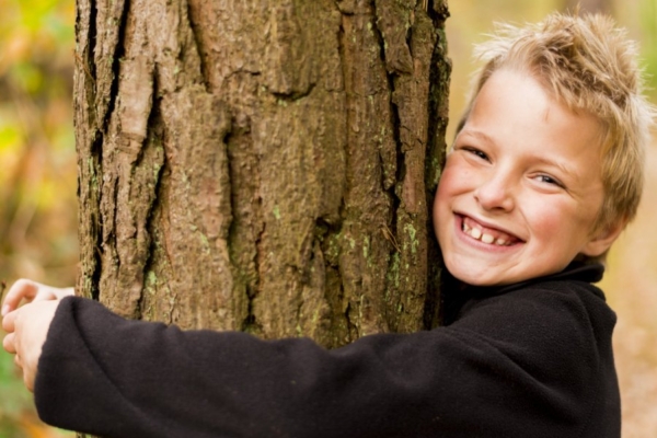 Teadlaste hinnangul on puude lähedal elamine kasulik inimese tervisele