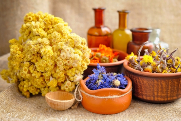 Taimetarkus: ravimtaimed varasügiseseks korjeks ja tervistumiseks