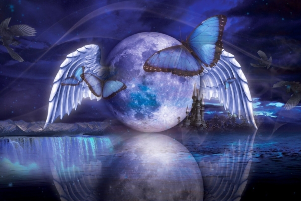 Nädala energiad 29.01 – 04.02 | Jõuliselt kerkib esile vabaduse teema