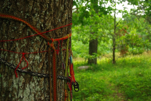 Maavald otsib hiie sõpra