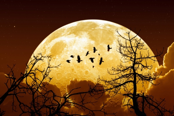 Maagiline aeg: täiskuu, kuuvarjutus ja komeedi ilmumine aitavad liikuda uuele tasandile