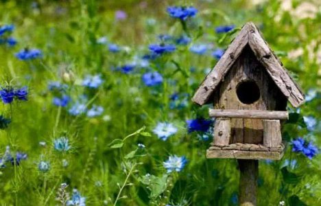 Kuidas korraldada terviseüritusi?