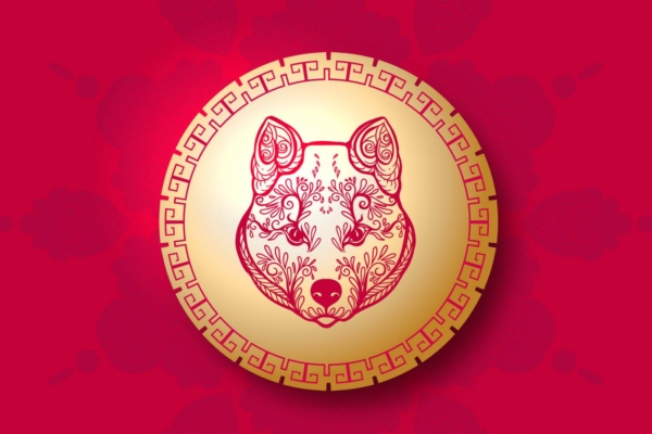 Mida näitab sinu looma-aasta märk? 12 fakti Koera aastal sündinud inimeste kohta