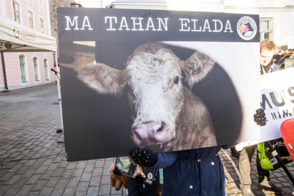 15 eurovalimiste kandidaati on andnud lubaduse toetada loomade heaolu