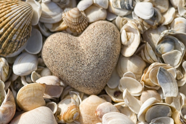 Avasta oma südame tarkus ja päästa valla omaenda ehtne vägi