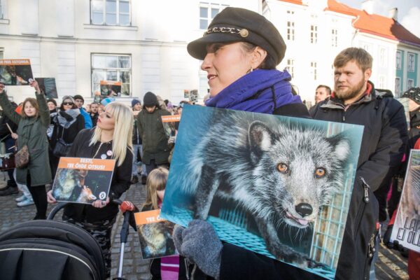 Tuhanded inimesed nõuavad karusloomafarmide keelustamise eelnõu arutelu riigikogus