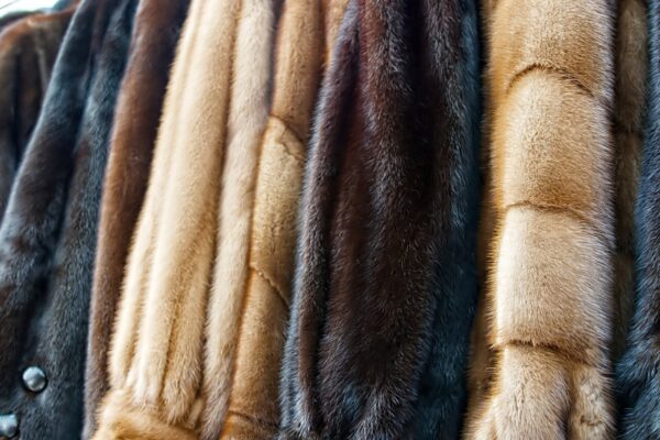 The Guardian: kas karusnahatööstus on jätkusuutlik?