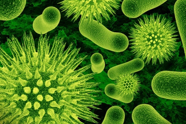 Inimese kõhus elab umbes üks kilo baktereid – millega nad seal tegelevad?