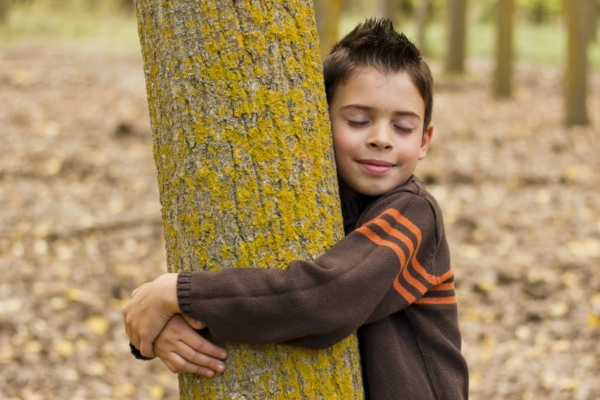 Pühapäeval saab Kadrioru pargis koos teiste loodusesõpradega ühist puukallistamist nautida