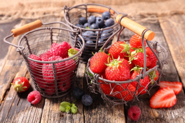 20 maitsva vilja haigustpeletavad omadused