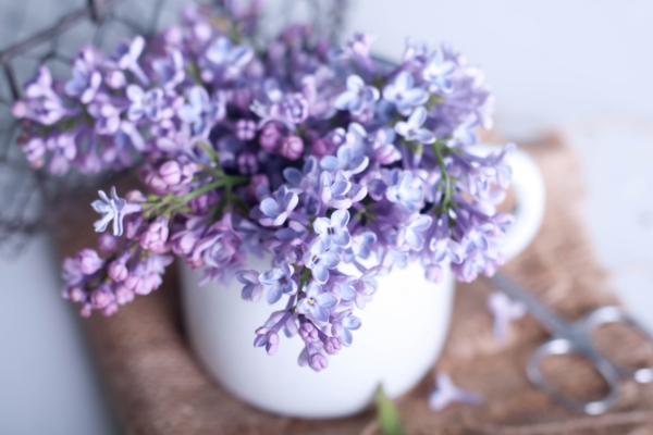 Juunikuu energiad 2020