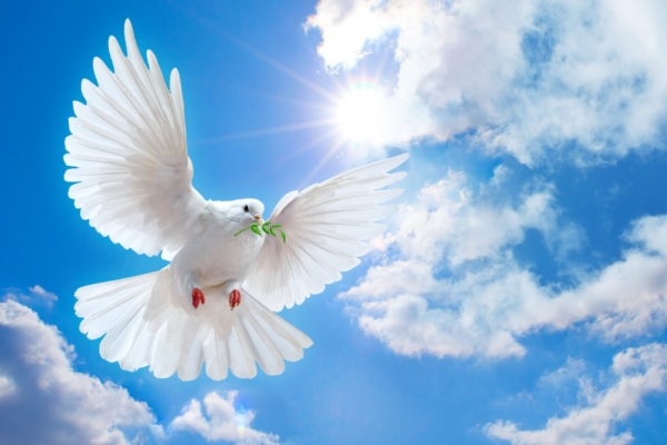 Täna on ülemaailmne rahu päev: tõeline tugevus ei seisne mitte jõus, rahas või relvades, vaid sügavas sisemises rahus