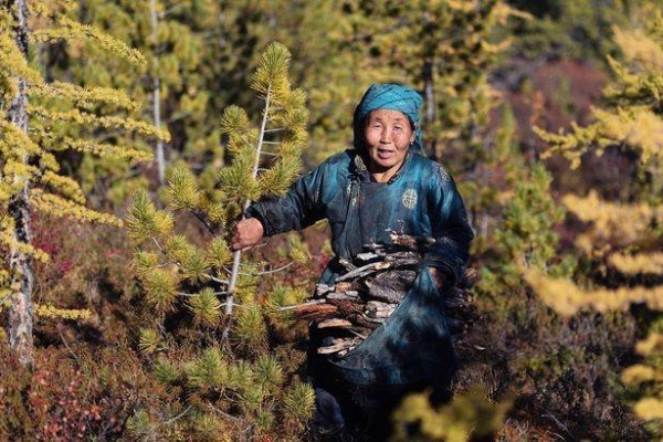 Roy Strider: Aidake mul aidata – ostame väljasureva hõimu haigele šamaanimemmele maja!