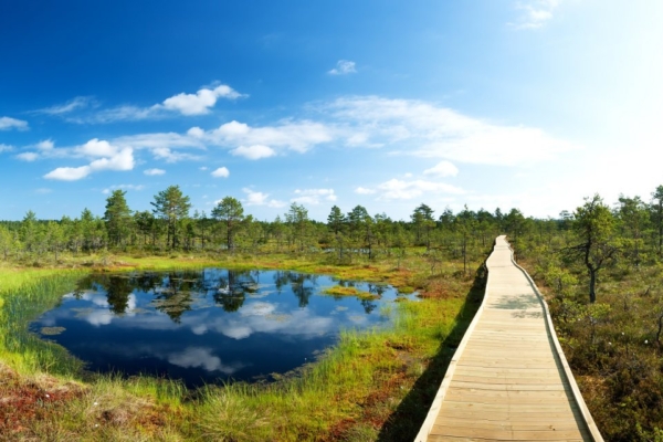 Täna on keskkonnapäev: 17 võimsat tsitaati loodusest