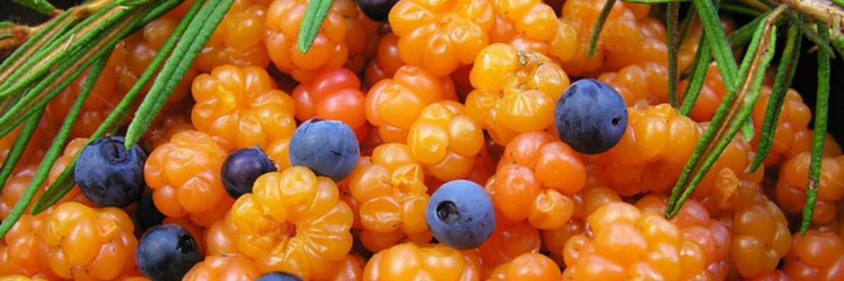 Käes on marjaaeg: vaata, milliseid kasulikke omadusi peidab sinu lemmikmari