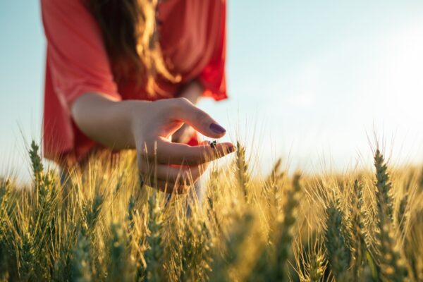 Juuli ja augusti sõnum: sinu vägi pärineb sinu jõudude tasakaalust