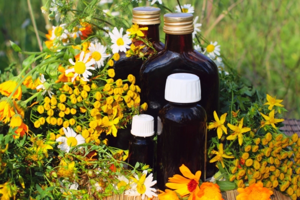 OTSE Alkeemia eetris: Maret Makko “Taimeravi” videokursuse esimene tund