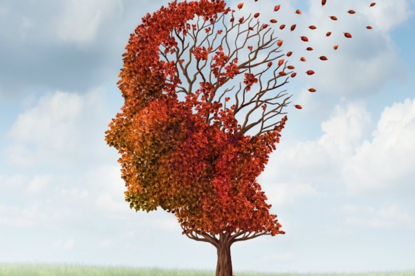 Alkeemia lugemisnurk. Energiakriis. Arst seletab, kuidas muretsemine ja stress kahjustavad meie arenguks ülitähtsat mälu ning tervist