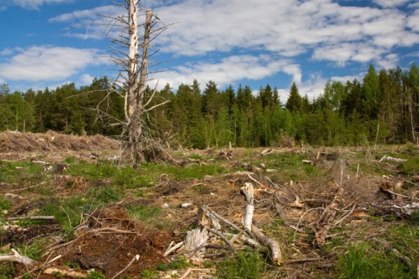 Kõik tänavused loodusvarad on juba ammendatud