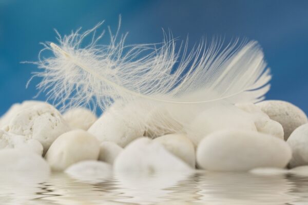 Taevased abilised: tervendamine inglite abiga