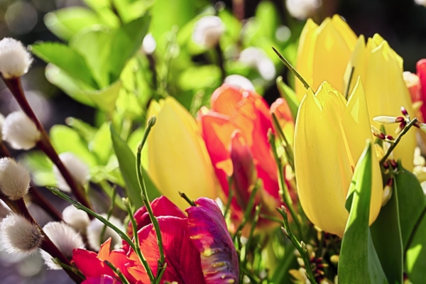 Nädala energiad 26. märts – 1. aprill: oleme teel armastusse ja valgusesse