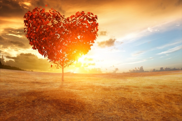 Loo endale armastav maailm