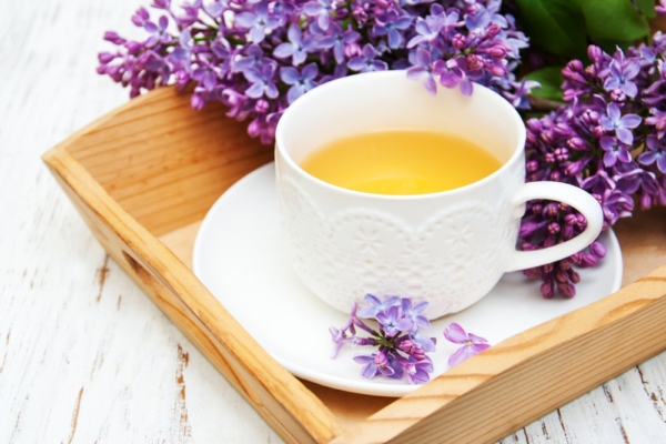 Kaunil ja lõhnaval sirelil on mitmekülgsed ravivad omadused