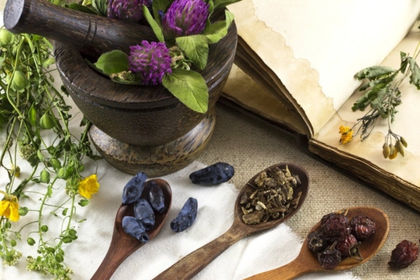 Botaanikaaias näeb kuni neljapäevani nõiataimi