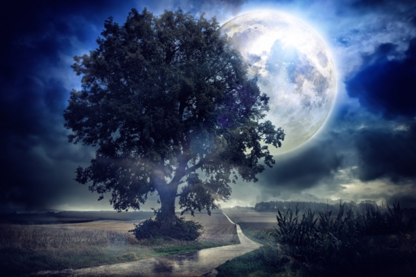 Teaduslikult tõestatud: täiskuu mõjutab inimesi – ajab pisut pööraseks!