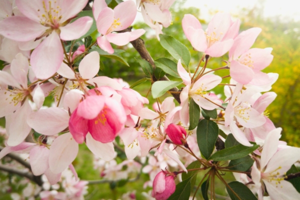 Maikuu energiad: sinu ülesanne on puhata oma keha ja meelt ning olla kerguses