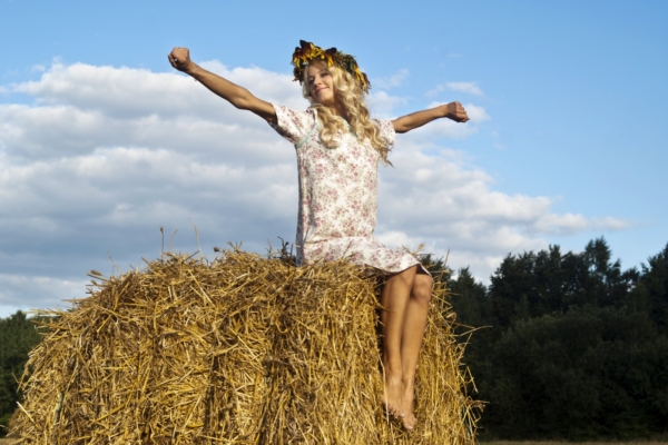 Tänasel heinamaarjapäeval korja erilise väega ravimtaimi ja joo maarjapuna