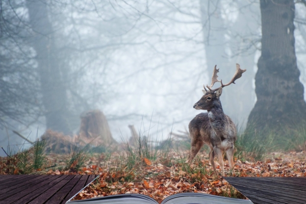 Esimese keele otsinguil: keelel ja sõnal on teadvusele “maagiline” mõju