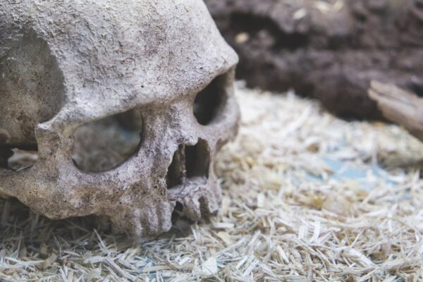 Euroopas ainulaadse Salme laevamatuse uuringud on täis müsteeriume