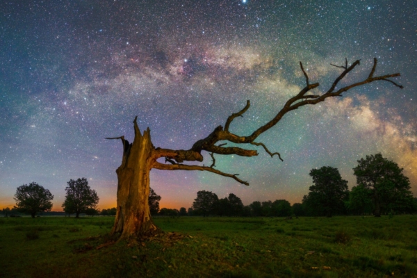 Öine taevane vaatemäng: käes on Perseiidide tähesaju tippaeg!