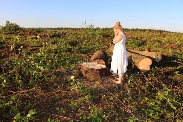 Maavalla koda: riik lubab aina sagedamini looduslike pühapaikade hävitamist