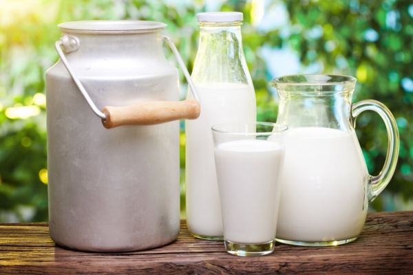Ajurveeda praktik annab nõu, kas ja kuidas tuleks tarbida piimatooteid