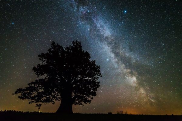 GALERII: Naudi mulluse hiite kuvavõistluse kauneid võidutöid ja osale – tänavune kuvavõistlus on täies hoos!