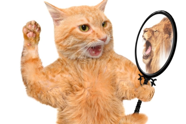 Julge olla sina ise, julge elada!