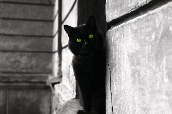 Ebausk või mitte? Täna on 13. ja reede – kas peaksid olema ettevaatlik ja mingeid tegevusi vältima?