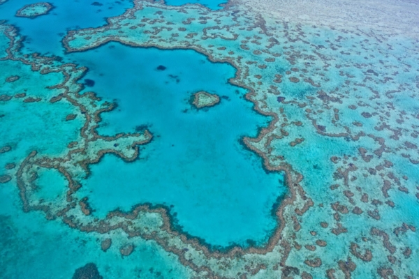 Suur Vallrahu pleegib jälle